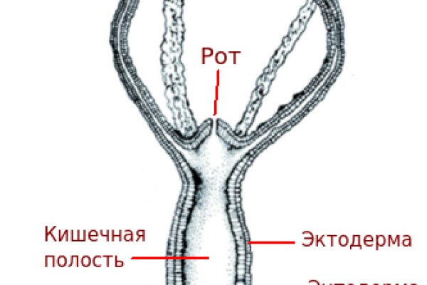 Услуги даркнета