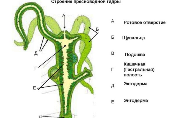 Домен кракена